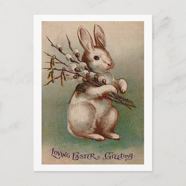 Cartão Postal De Festividades Vintage Easter Bunny Greetings (Frente)