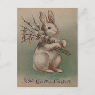 Cartão Postal De Festividades Vintage Easter Bunny Rabbit