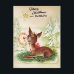 Cartão Postal De Festividades Vintage Felry Christmas Star Rudolph<br><div class="desc">Envie Joy & peace aos seus entes queridos com este cartão-postal Feliz de Natal com estrela,  árvore de Natal e Rudolph diz Feliz Natal. Tem a mensagem "Enviando-vos as saudações da temporada com todo o meu amor e alegria. Que a luz do Natal lhe dê paz e felicidade."</div>