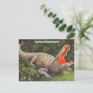Cartão Postal De Festividades Vintage Florida Alligator