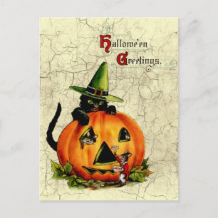Cartão Postal De Festividades Vintage Halloween Black Cat Postcard