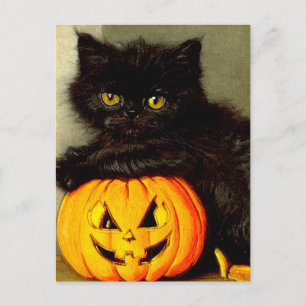 Cartão Postal De Festividades Vintage Halloween Cat e Jack-o'-lantern