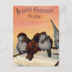Cartão Postal De Festividades Vintage Joyful Christmas Birds