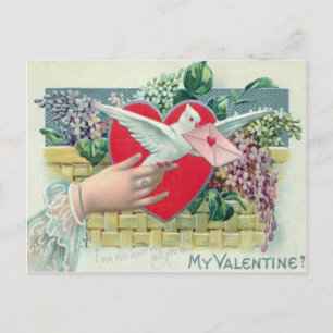 Cartão Postal De Festividades Vintage Retro Carrier Pigeon With Valentine Card