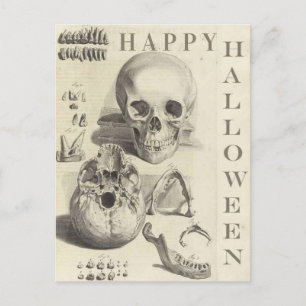 Cartão Postal De Festividades Vintage Skulls Happy Halloween