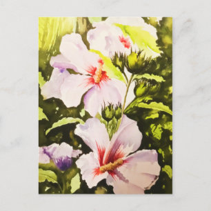 Cartão Postal De Festividades Vintage White Floral Greenerescente Branca Vintage
