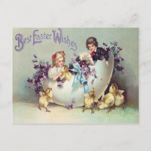 Cartão Postal De Festividades Violetas de Ovos de Pintinho Páscoa para criança