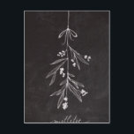 Cartão Postal De Festividades Visco do feriado do quadro - Natal<br><div class="desc">Sob o visco.</div>
