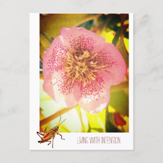 Cartão Postal De Festividades Vivendo com intenção. Helleborus (Lenten Rosa)