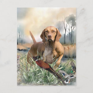 Cartão Postal De Festividades Vizsla, Arte