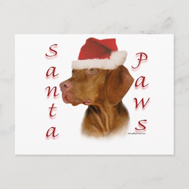 Cartão Postal De Festividades Vizsla Papais noeis Paws (Frente)