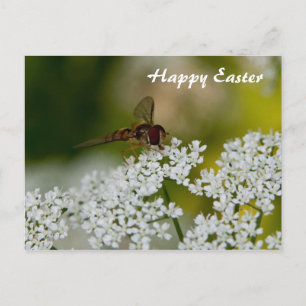 Cartão Postal De Festividades Voar sobre um cartão de felz pascoa de flor