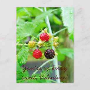 Cartão Postal De Festividades Você é tão Berry Sweet Raspberry Namorados