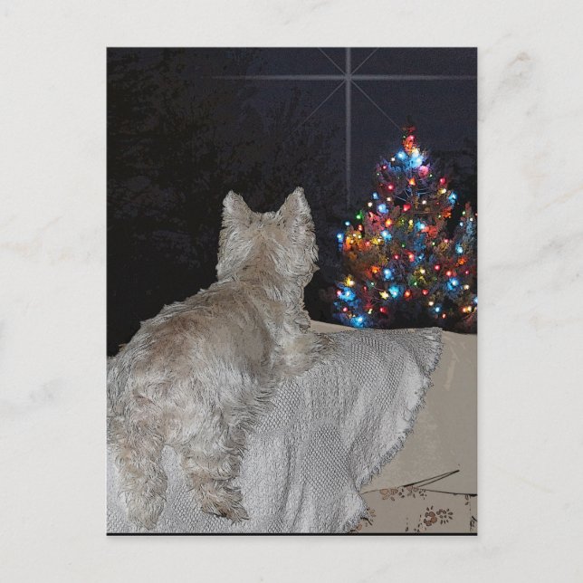 CARTÃO POSTAL DE FESTIVIDADES WESTIE CHRISTMAS AWE (Frente)