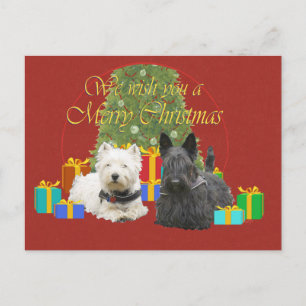 Cartão Postal De Festividades Westie e Scottie Feliz Natal