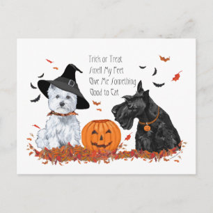 Cartão Postal De Festividades Westie e Scottie no Halloween