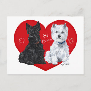 Cartão Postal De Festividades Westie e Scottie Valentine
