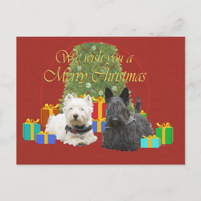 Cartão Postal De Festividades Westie & Scottie Felry Natal (Frente)