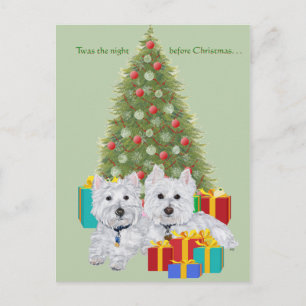 Cartão Postal De Festividades Westies junto à Árvore de Natal