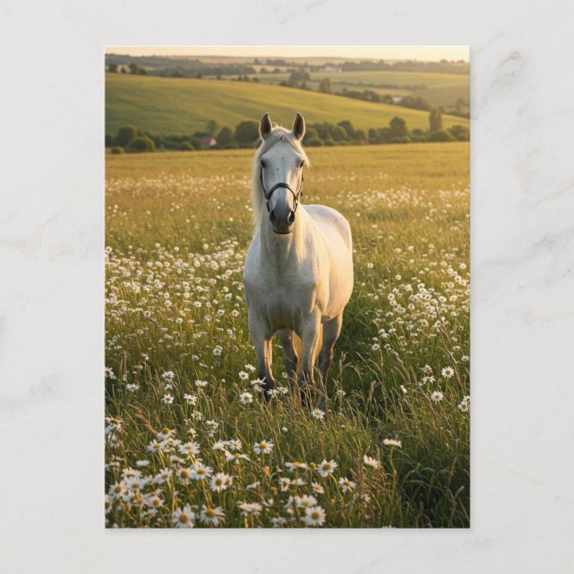 Cartão Postal De Festividades White Horse in Wildflower Meadow Postcard (Frente)