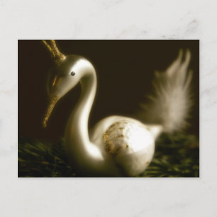 Cartão Postal De Festividades White Swan • Christmas Postcard