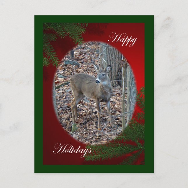 Cartão Postal De Festividades Whitetail Deer Spike Buck Série Felizes Feriados (Frente)