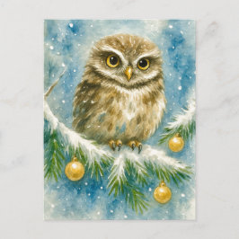 Cartão Postal De Festividades Winter Owl on Snowy Branch Christmas Postcard