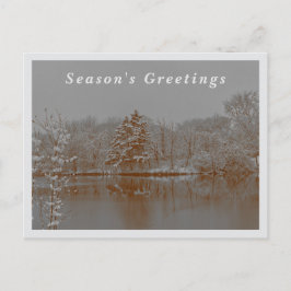 Cartão Postal De Festividades Winter Wonderland Snow Photography Vintage Holiday