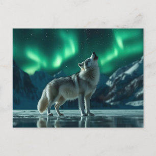 Cartão Postal De Festividades Wolf Howling debaixo das luzes do Norte