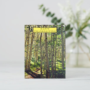 Cartão Postal De Festividades Woodland no Cartão de Férias de Aspens