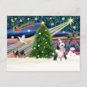 Cartão Postal De Festividades Xmas Magic-Beardie4