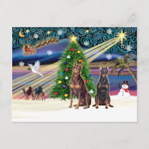 Cartão Postal De Festividades Xmas Magic-Doberman Pair