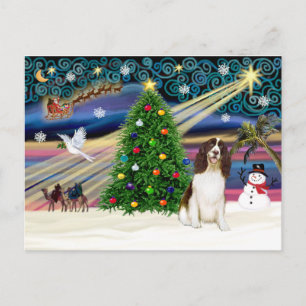 Cartão Postal De Festividades Xmas Magic-English Springer
