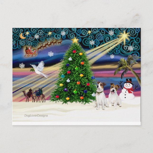 Cartão Postal De Festividades Xmas Magic-Jack Russell Pair2 (Frente)