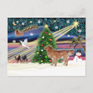 Cartão Postal De Festividades Xmas Magic-NovaEscócia-stand