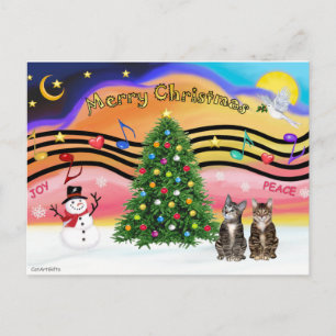 Cartão Postal De Festividades Xmas Music 2 - Dois Gatos Tabby