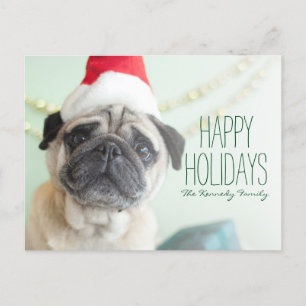 Cartão Postal De Festividades Xmas Pug