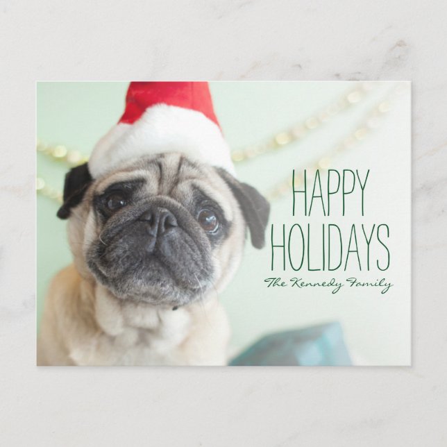 Cartão Postal De Festividades Xmas Pug (Frente)