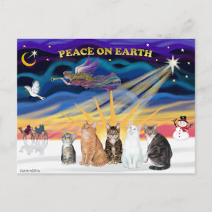 Cartão Postal De Festividades Xmas Sunrise - Cinco gatos (AmSH)