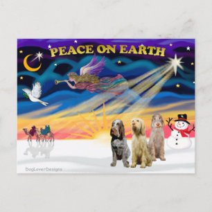 Cartão Postal De Festividades Xmas Sunrise - Três Espinones Italianos