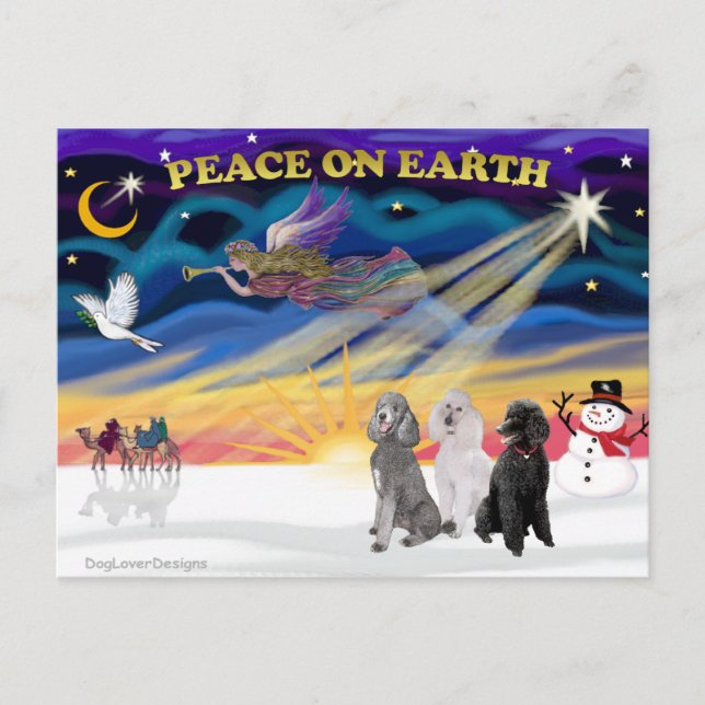Cartão Postal De Festividades Xmas Sunrise - Três Poodles Padrão (Frente)