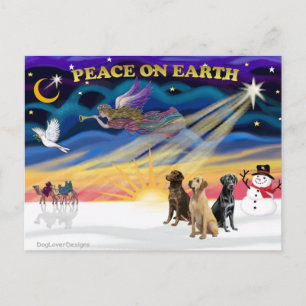 Cartão Postal De Festividades XmasSunrise-3 Labrador Retrievers
