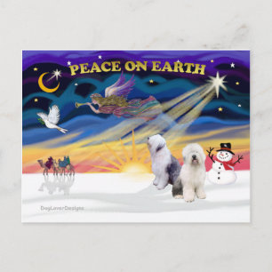 Cartão Postal De Festividades XmasSunrise-Two-Old English Sheepdog