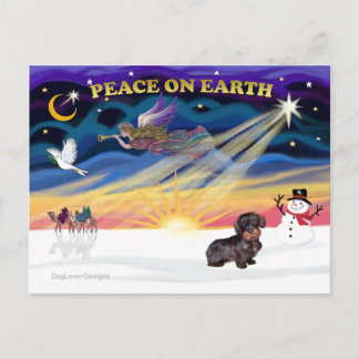 Cartão Postal De Festividades XmasSunrise-WireHaired Dachshund