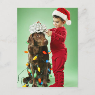 Cartão Postal De Festividades Young boy wrapping Christmas lights around a dog