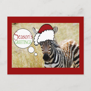 Cartão Postal De Festividades Zebra Christmas Seasons Saudações