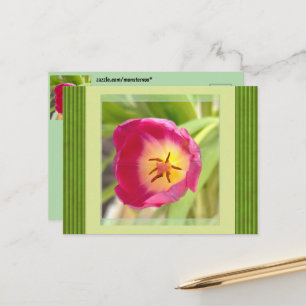 Cartão Postal de Flor