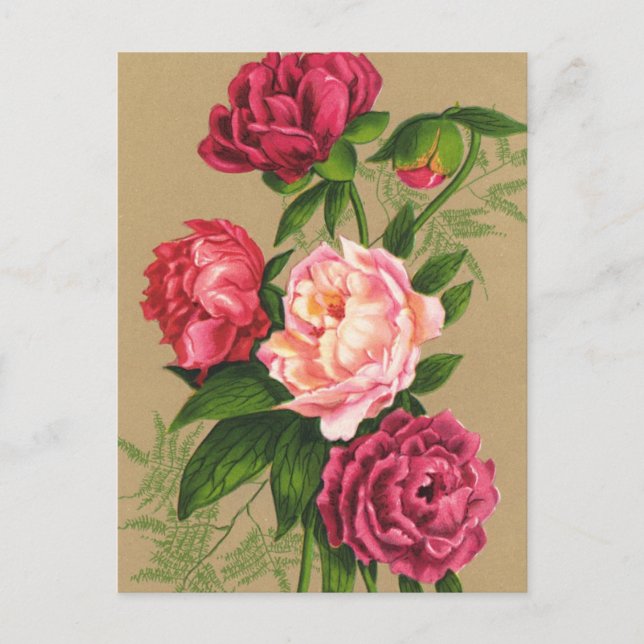 Cartão postal de flor (Frente)