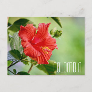 cartão postal de flor colombia hibiscus