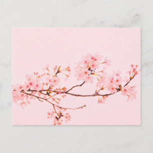 Cartão postal de flor de mármore rosa
